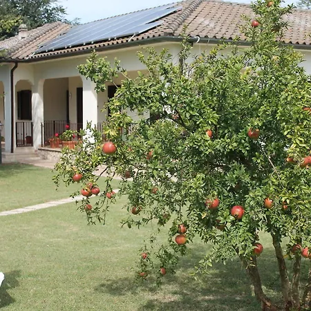 Relais La Mimosa 폰티니아
